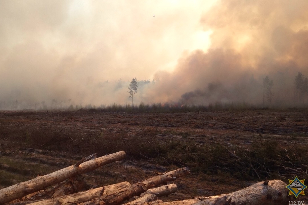 Пожар на Ольманских болотах © brest.mchs.gov.by