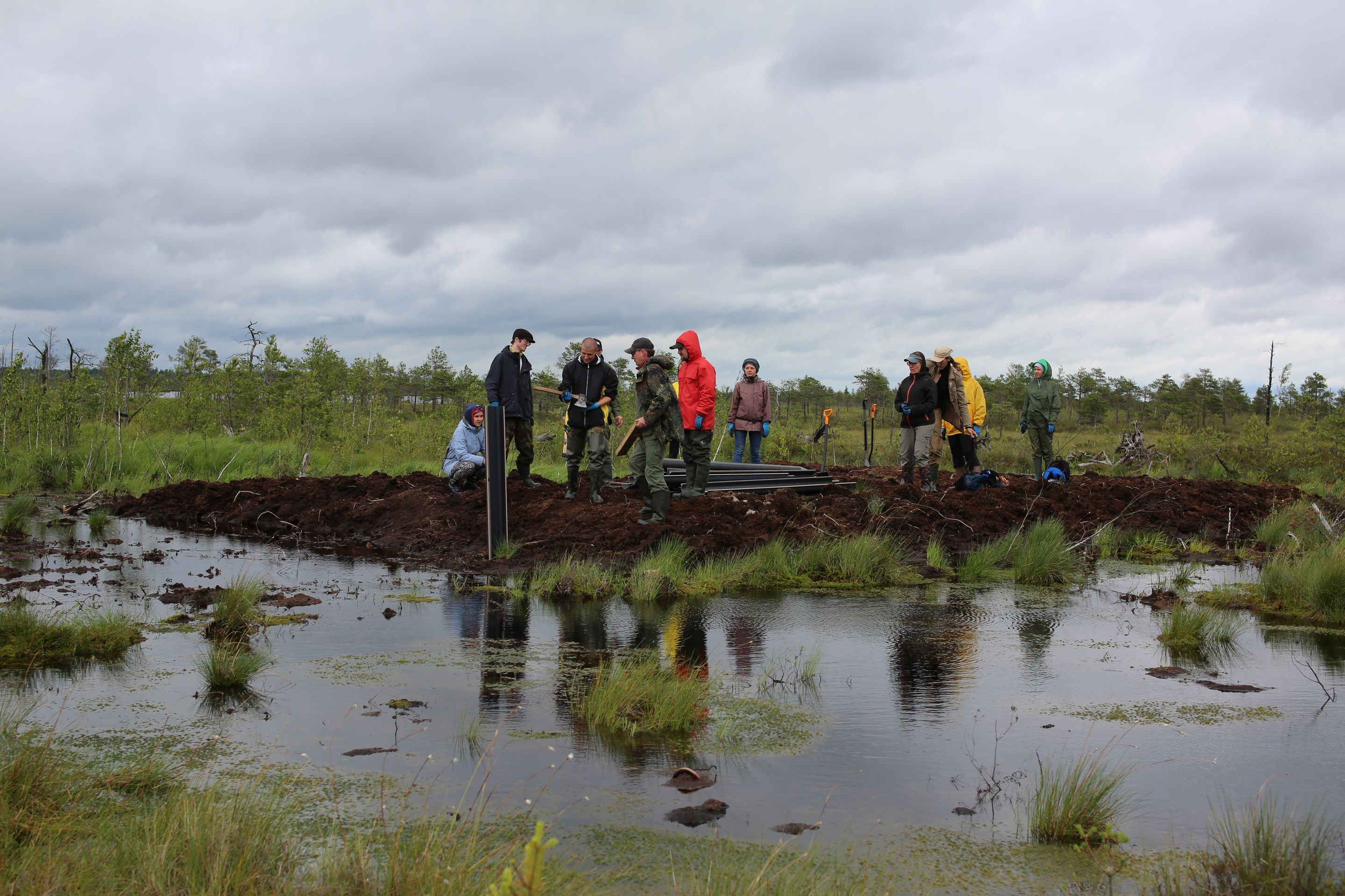 Природоохранная толока на Ельне. Проводим работы по строительству плотин на болоте для поддержания гидрологического режима. © Багна